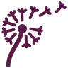 Clarity and Peace of Mind Icon